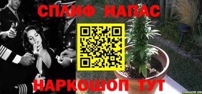 spice Коммунар