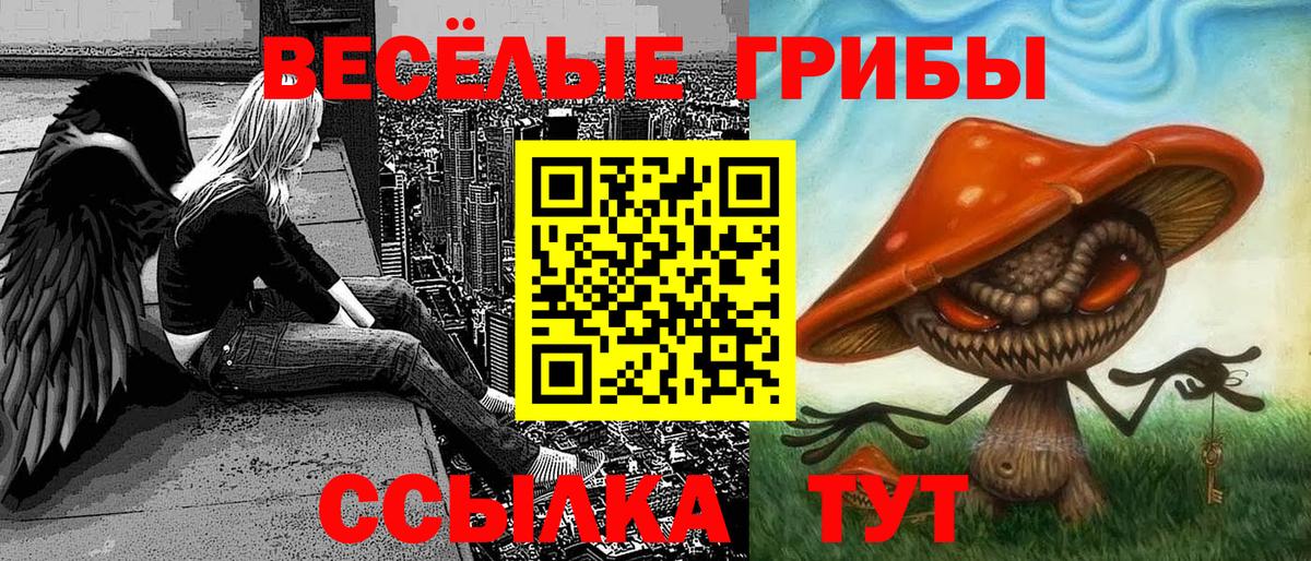 Псилоцибиновые грибы Psilocybe Алапаевск